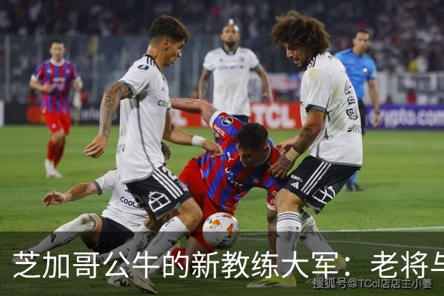 芝加哥公牛的新教练大军：老将与新鲜血液的完美交融！