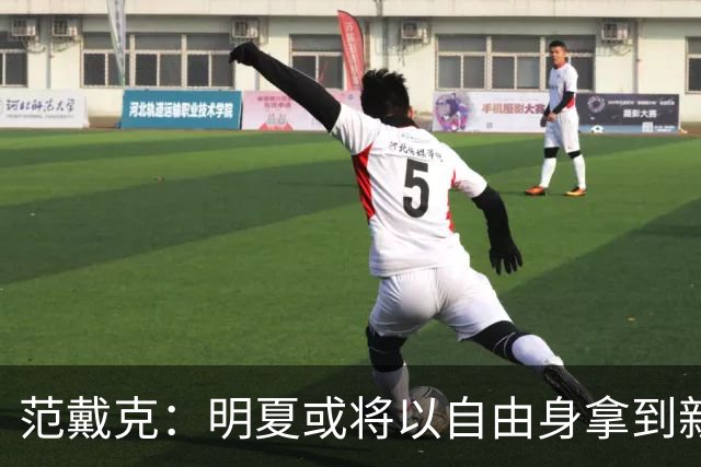 范戴克：明夏或将以自由身拿到新“门票”！